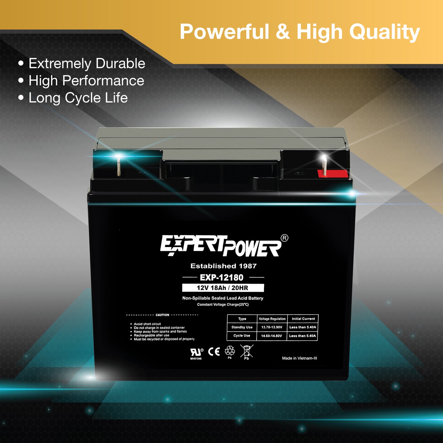 EXP12180 12V 18Ah - ExpertPower Direct