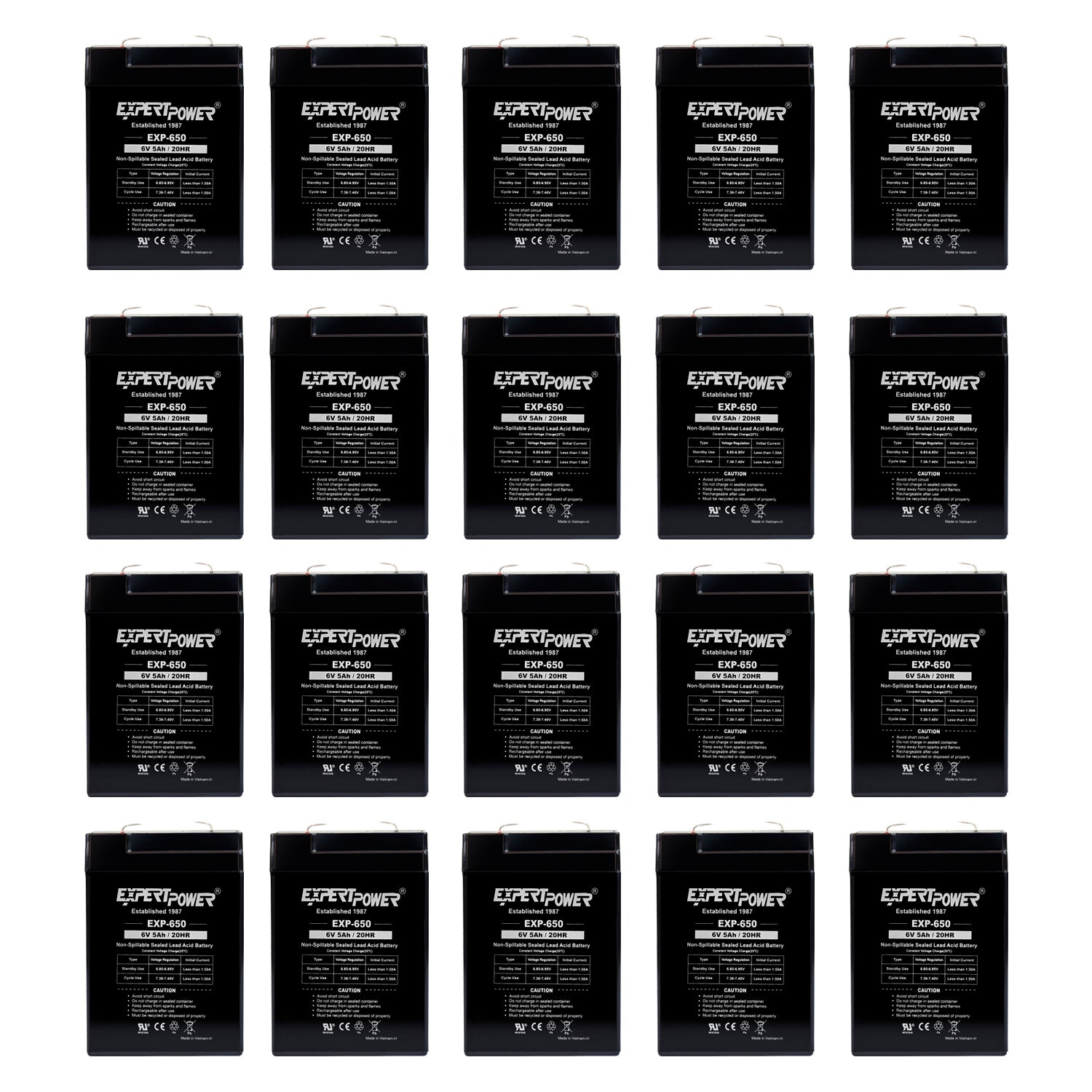 EXP650 6V 5Ah - ExpertPower Direct