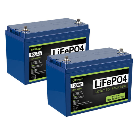 12V 100Ah LiFePO4 Deep Cycle Rechargeable Battery, 2500-7000 Life Cycles &  10-Year lifetime, Built-in BMS