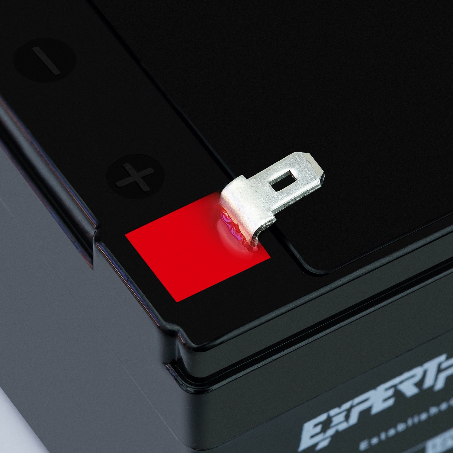 EXP1233 12V 3.3Ah - ExpertPower Direct